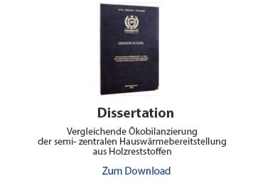 Dissertation/Doktorarbeit Beispiel Umweltingenieurswissenschaften