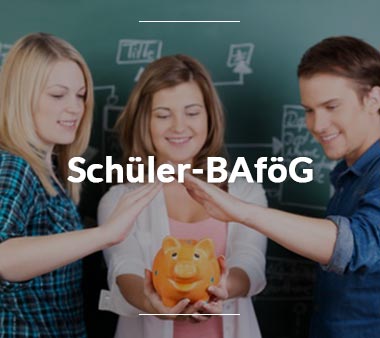 Schuler Bafog So Bekommst Du Schon Als Schuler In Bafog