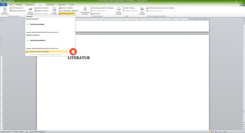 Automatisches Literaturverzeichnis Word