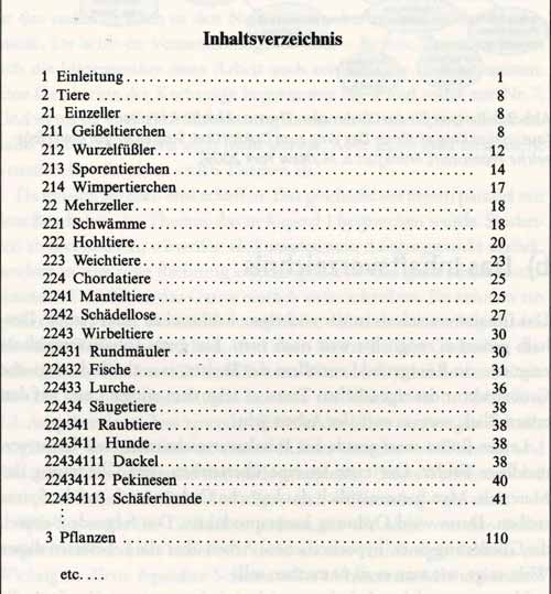 Gliederung Aufbau Beispiele Fur Die Bachelorarbeit