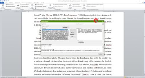 Literaturverzeichnis Verwaltung Quellen Word