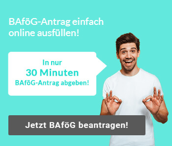 Bafog Hochstsatz Sichere Dir 2020 Bis Zu 861
