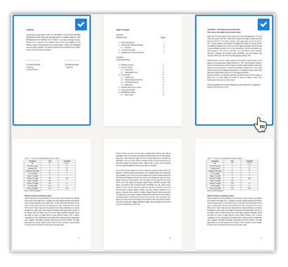 Dissertation Korrekturlesen Seitenauswahl