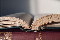 Tautologie-Definition