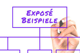 Exposé Beispiel-Definition