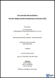 Kumulative-Dissertation-Beispiel-Martin-Luther-Universität Halle-Wittenberg