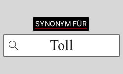 Toll Synonyme-01