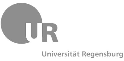 Wissenschaftliche-Arbeit-Beispiele - Universität Regensburg