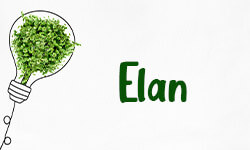 Elan-01